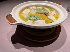 六月黄白丝瓜盐卤豆腐-新荣记(湾仔店)