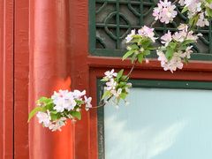 -海棠花溪(元大都城垣遗址公园)