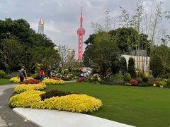 -北外滩滨江绿地