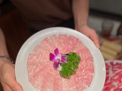 -禄婶鸡煲·打边炉