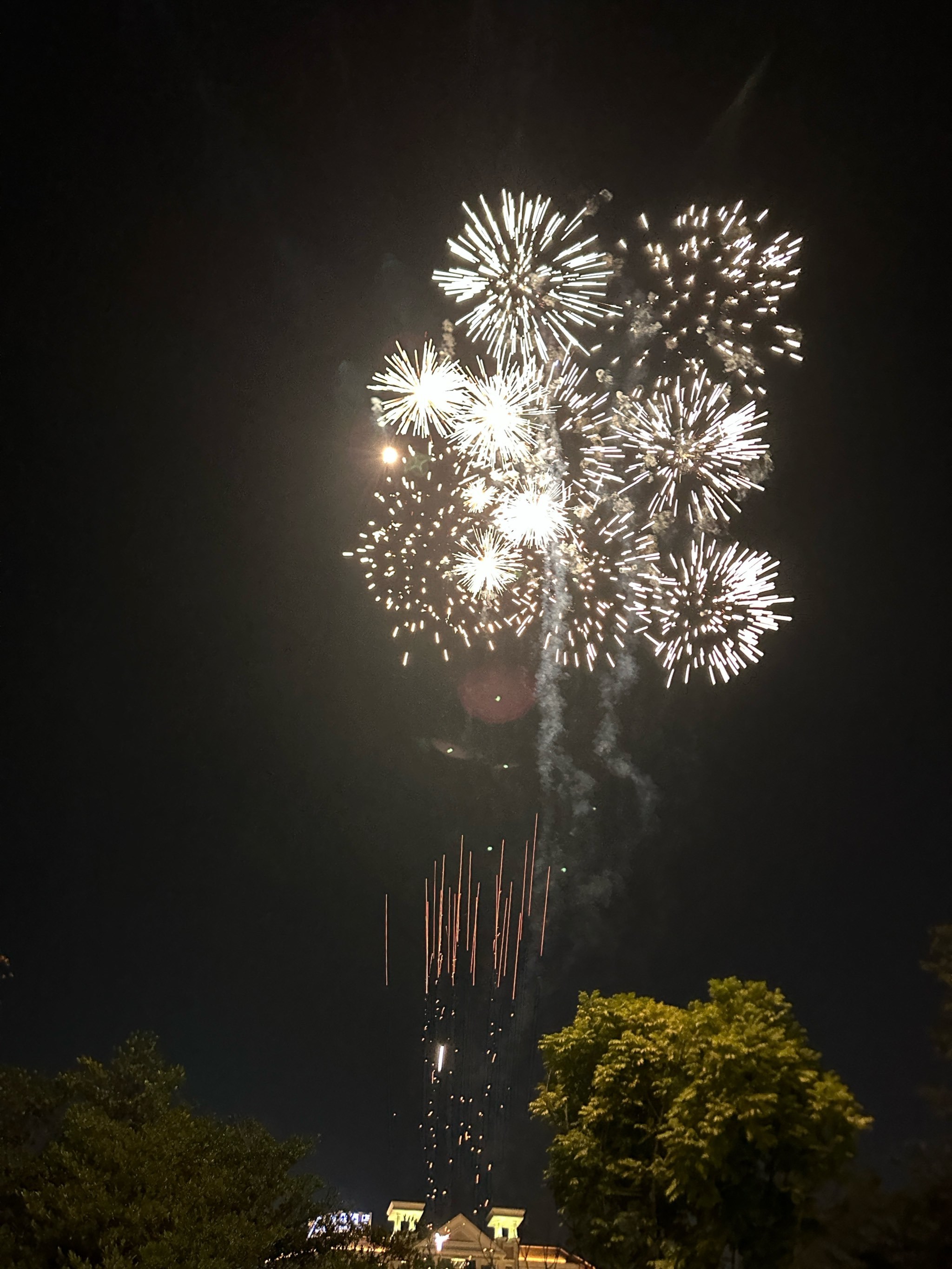 🎆品种敲全的!