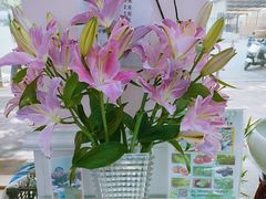 -谦和素食自助餐(云峰花园店)