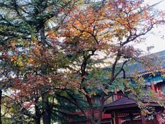 -北京石刻艺术博物馆(五塔寺)
