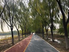 -大兴滨河森林公园