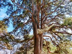 -终南山南五台景区