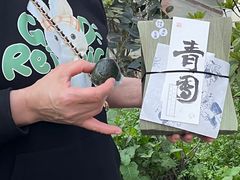 -阮大兴糕团(日月光中心店)