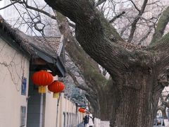 -颐和路民国时期公馆风貌区