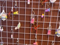 -鱼酷活鱼烤鱼(沈阳大悦城店)