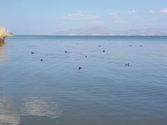-大理洱海