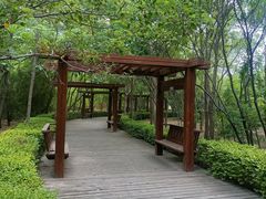 -塘沽森林公园