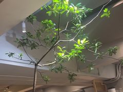 -本处·素食·融合料理(南油店)