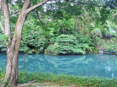 -大埔公路-马料水段香港中文大学(公交站)