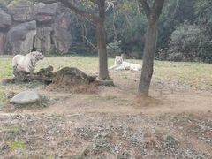 -杭州野生动物世界