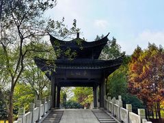 -梁鸿国家湿地公园