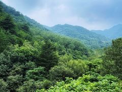 -玉渡山自然风景区