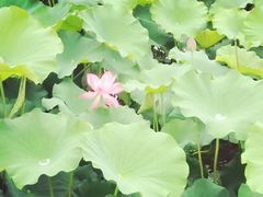 -韶山毛泽东同志故居