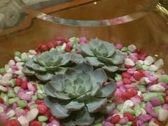 -逸廊大堂吧(三亚海棠湾万丽度假酒店)