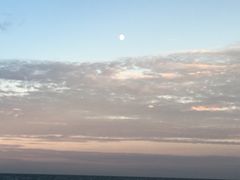 -碧海金沙