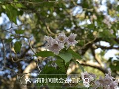-国家植物园