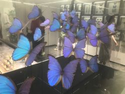 -酷嗒动物文化乐园(cutezoo西溪乐天城店)