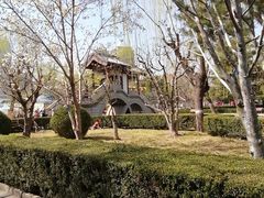 -团结湖公园