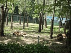 -秦皇岛野生动物园