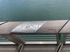 -星光大道
