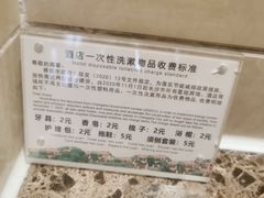 -圣爵菲斯大酒店(长沙世界之窗店)
