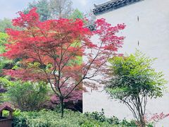 -潜口民宅博物馆