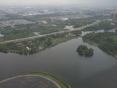 -嘉定凯悦·咖啡厅