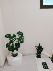 -海涛医疗美容·面部抗衰·注射美鼻