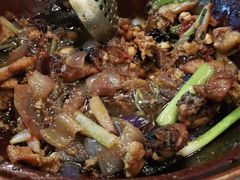 -胡须佬鸡煲四季火锅(龙珠大道店)