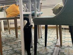 -剧狐剧本杀·月球探案馆(人民广场1号店)