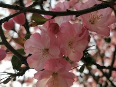 -秦皇岛路游船码头