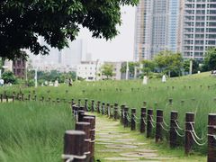 -红花山公园