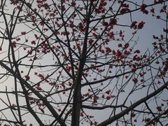 android_upload_pic-仙游革命烈士陵园