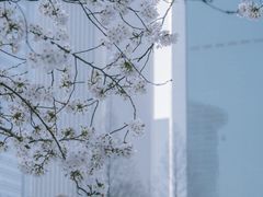 -西北湖绿化广场