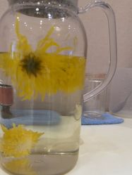 -北京俪婴妇产医院(朝阳大悦城店)