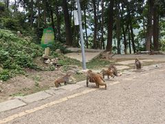 -黔灵山公园