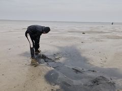 -北海金海湾红树林生态旅游区