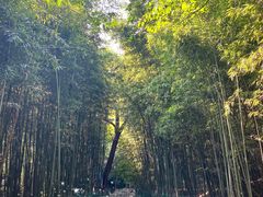 -四门塔风景区