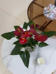 -薇兰专业脱毛连锁机构