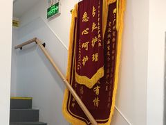 -宠物星动物医院·眼科·异宠·猫科(江南大道总院)