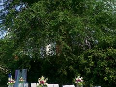 -老洋房花园饭店(绍兴路店)