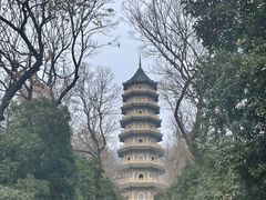 -灵谷景区