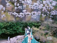 -大奇山国家森林公园