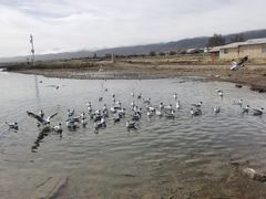 -青海湖二郎剑景区