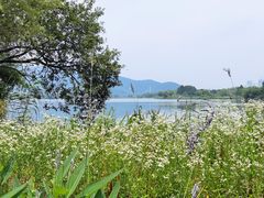 -长兴太湖图影湿地文化园