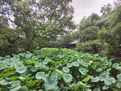 -松州古城