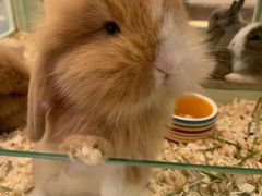 -龙猫仔乐园(惠福东路店)